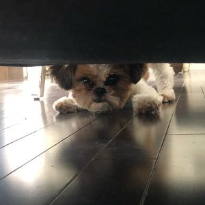 Meet your Posher, Janelle